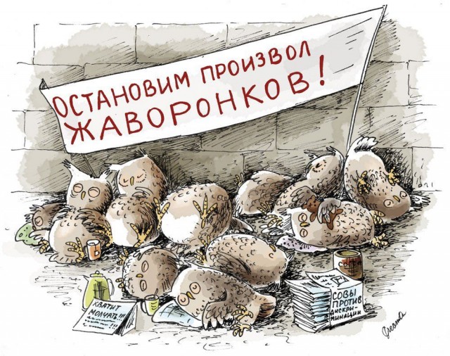 "Какая-то сраная сова придумала вставать с утра на работу"