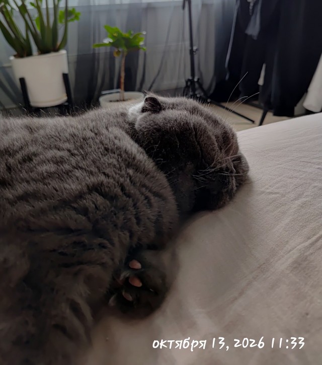 18 лет!