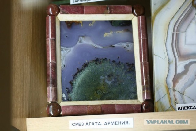 Музей шедевров природы