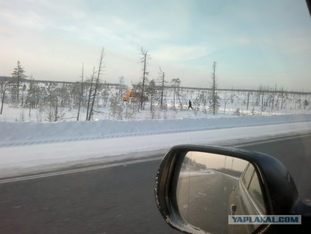 Трасса Нижневартовск-Сургут в -40 градусов