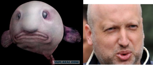 Марианская впадина