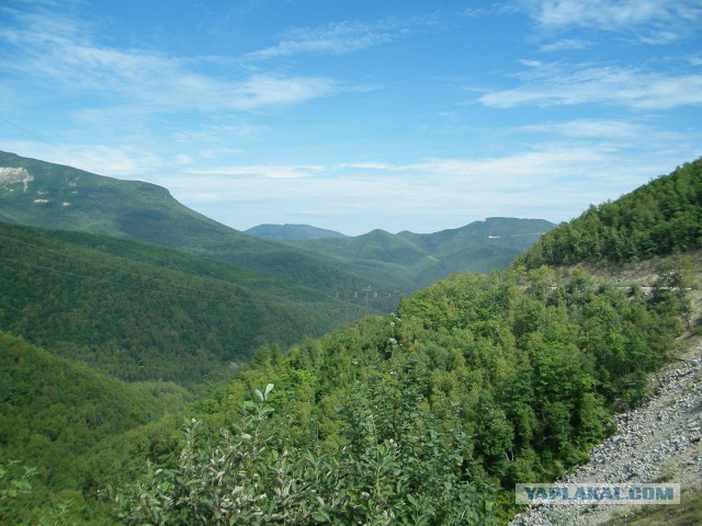 Природа Приморского края