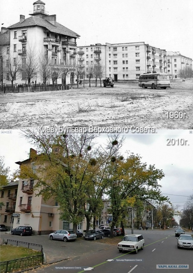 Как изменились мегаполисы с 20 века