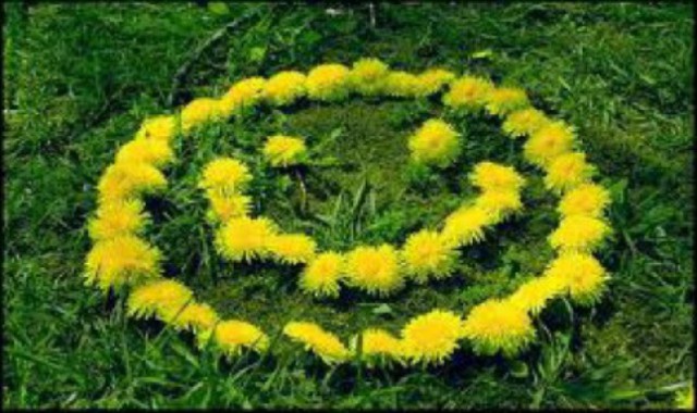 Плюсомет со шпалометом