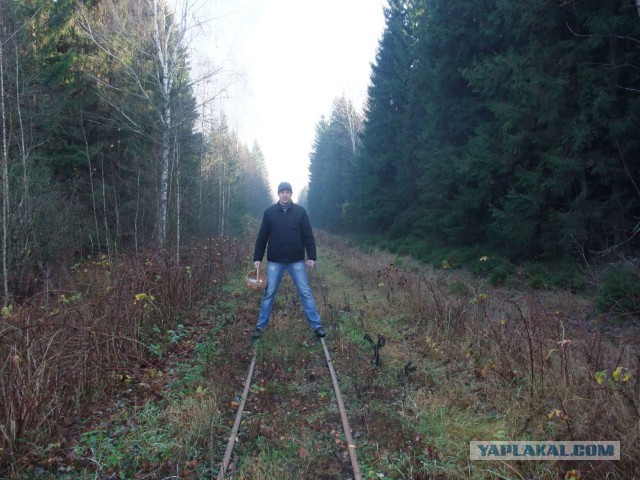 Лучшие железнодорожные фото 2014