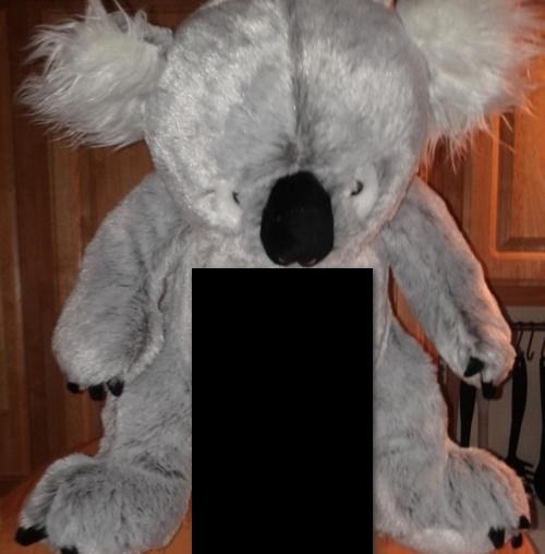 Что делает коала?