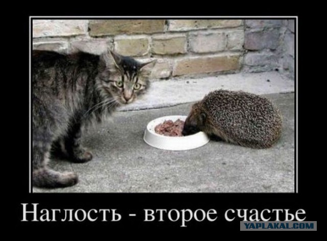 Картинки из сети на понедельник