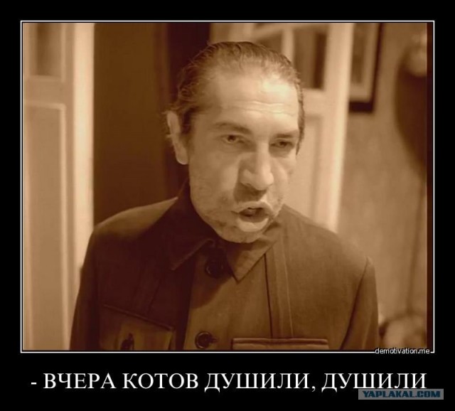 Любителям поднять срач
