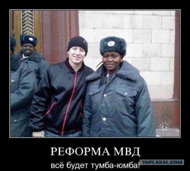 Весёлости в картинках