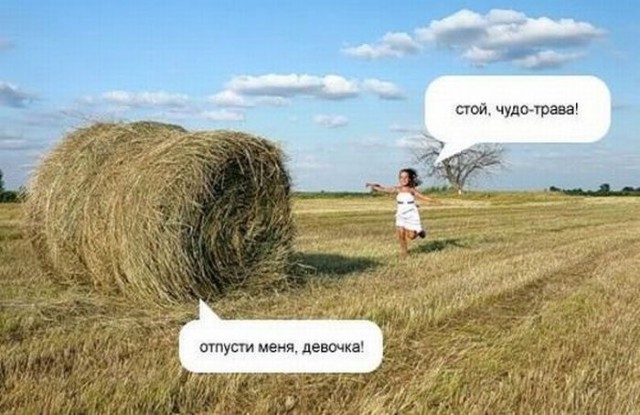 Алко-Нарко-Психо-Фармо и т.п. поборка