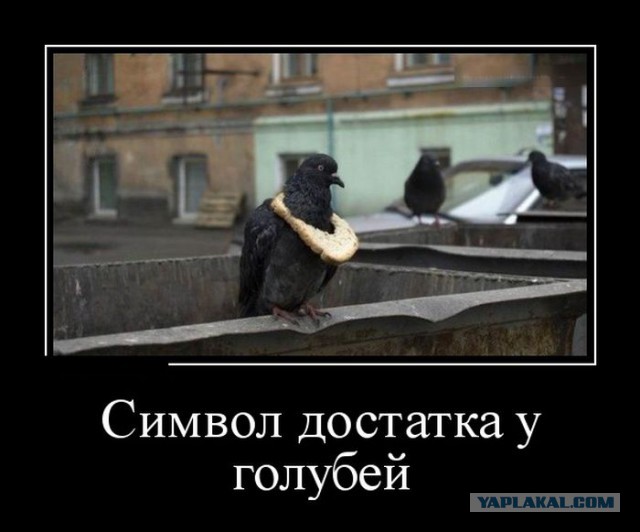 Подборка демотиваторов