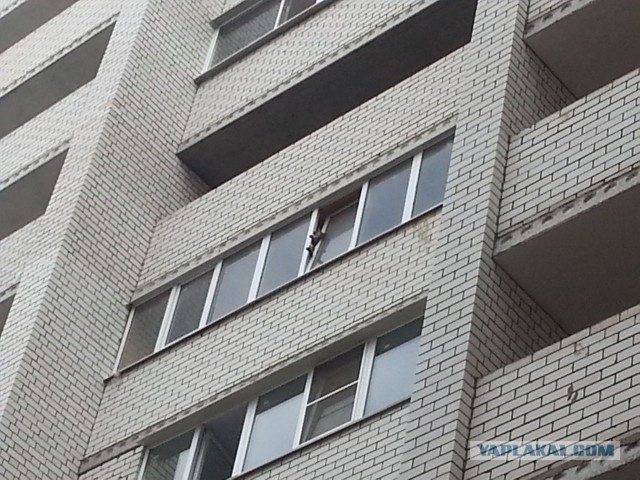 Смотрите за своими питомцами