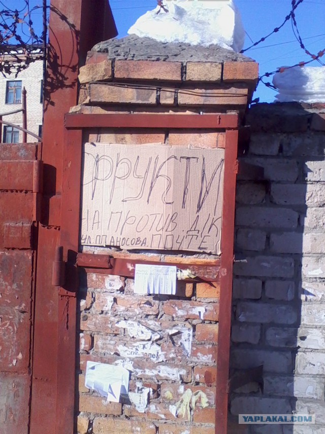 Надписи, вывески, объявления и другие буквы