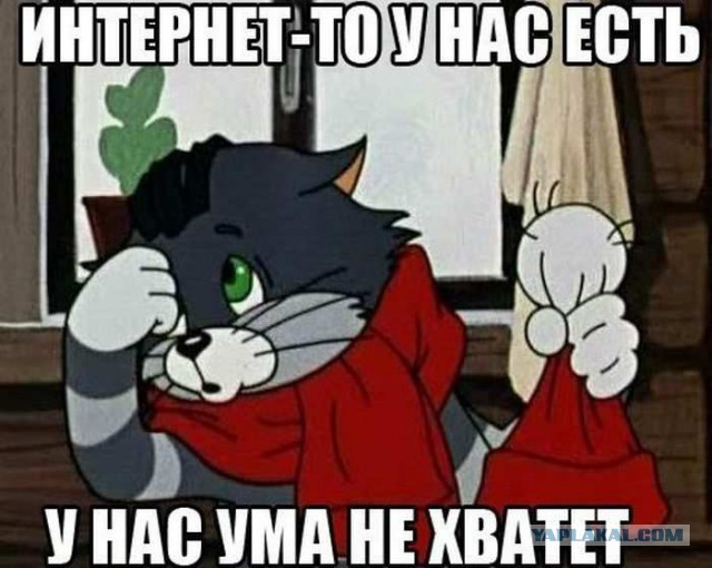 Чем занимаются дети в соцсетях?