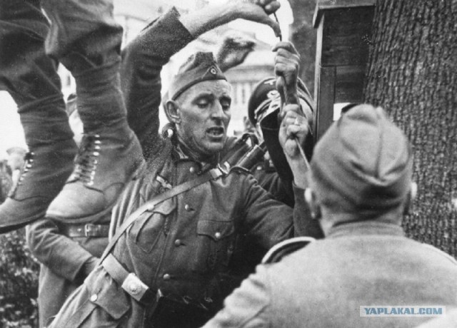 Русский солдат глазами гитлеровцев