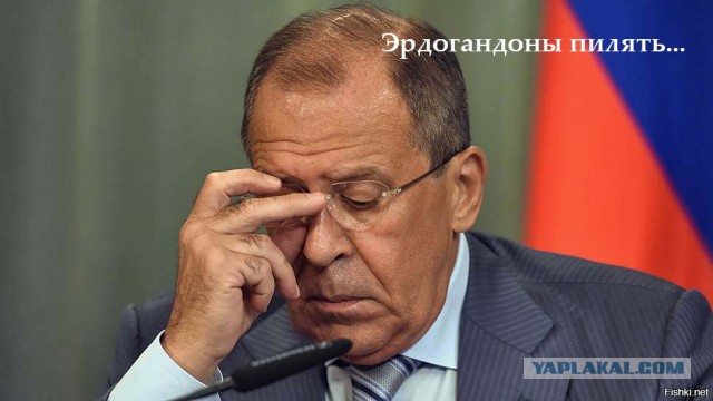 Вводим новый термин на ЯПе и в жизни - Эрдоганить