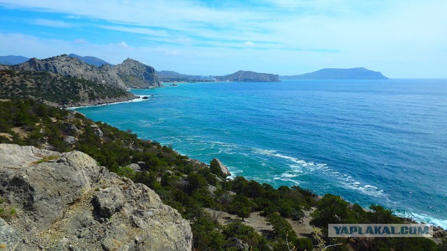 В Крыму Черное море стало желтым