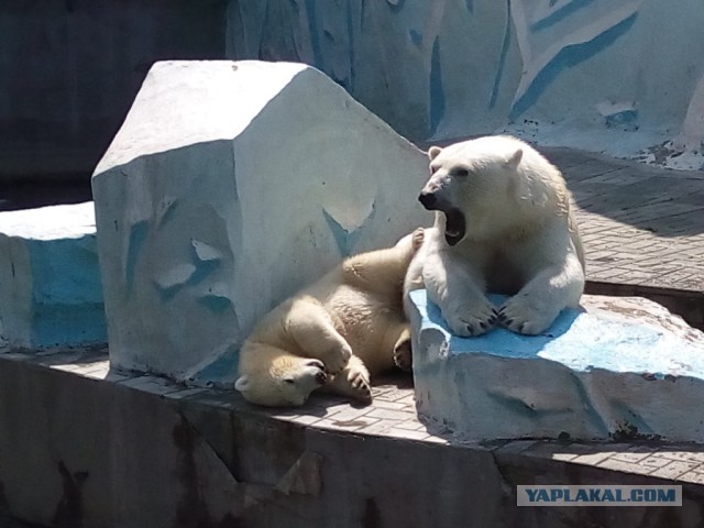 Одно фото из отпуска.