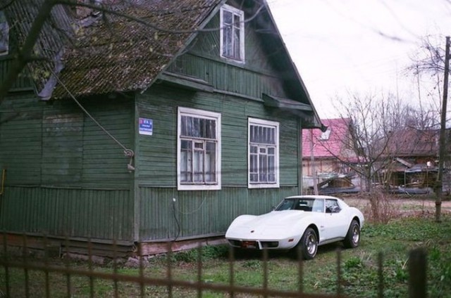Прикольные картинки