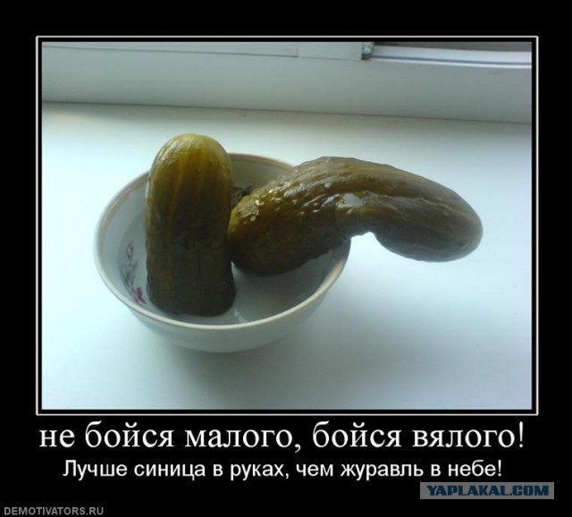 Развлекательные порталы