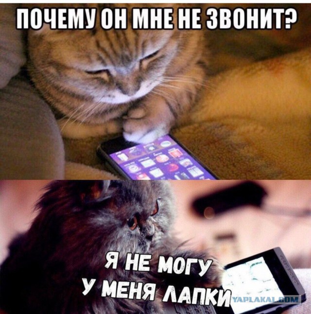 Подборка интересных и веселых картинок