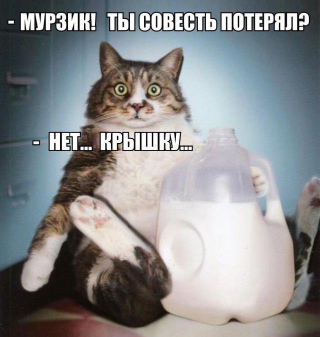 Картинки для поднятия настроения