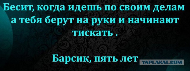 Смешные комментарии из социальных сетей 04.08.2017