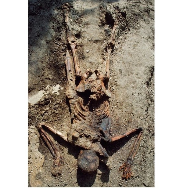 Смерть легионера. Скелеты и мумии.7.