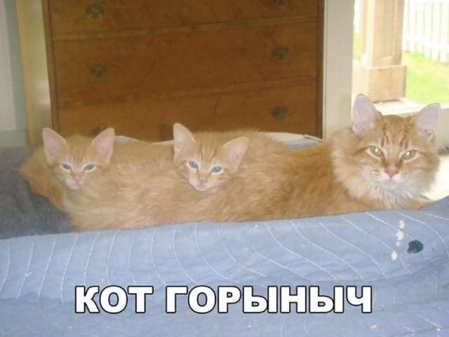 От работы отдыхаем, на картинки залипаем