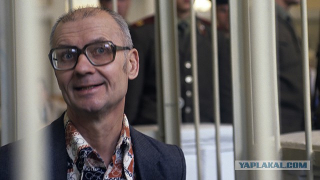 Питбули — самые грозные и беспощадные существа на планете