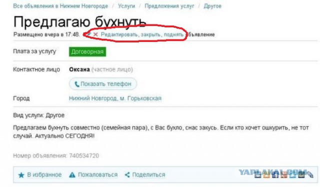 По-настоящему безумные объявления с Авито