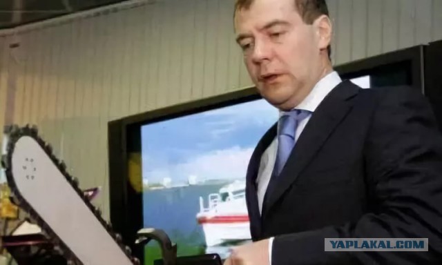 Кто самый глупый человек на этой картине?