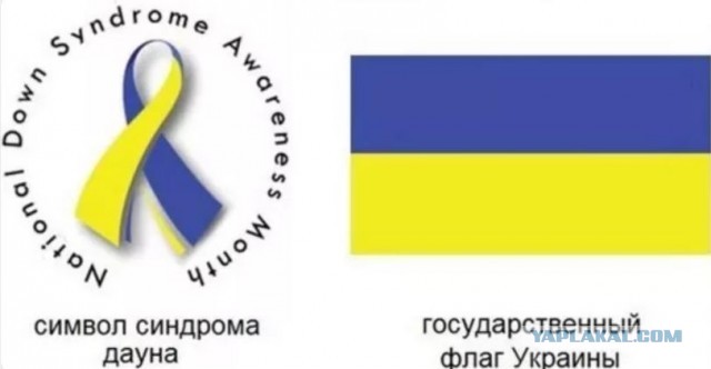 Украинский стяг чей