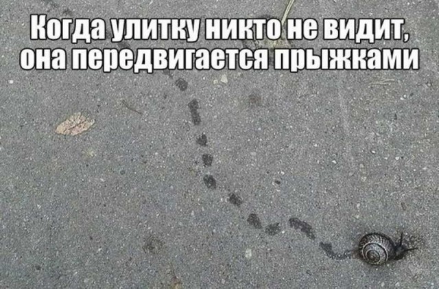 Немного картинок для настроения 28.11.19