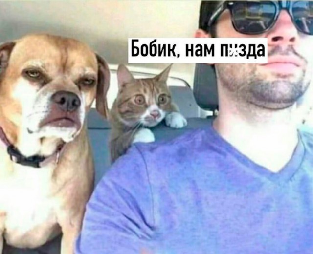 Немного картинок для настроения 29.11.19