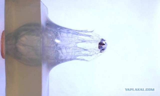 Фотокамера за 250 000$