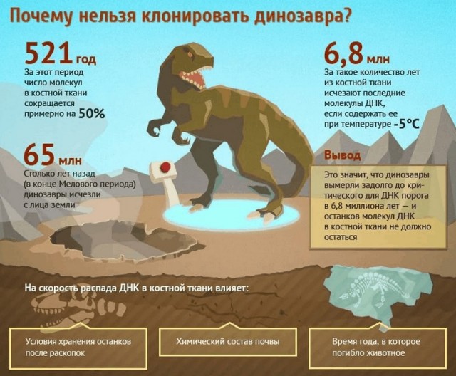 Интересные факты о ДНК и её значении в жизни человека