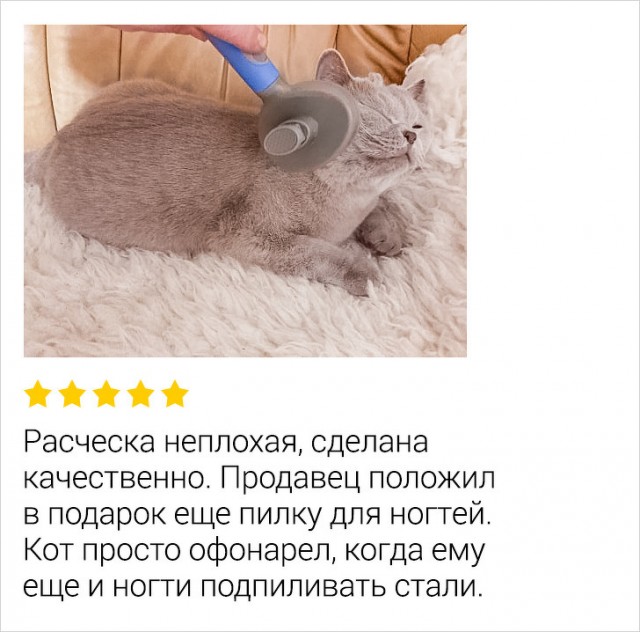 Прикольные отзывы в интернете
