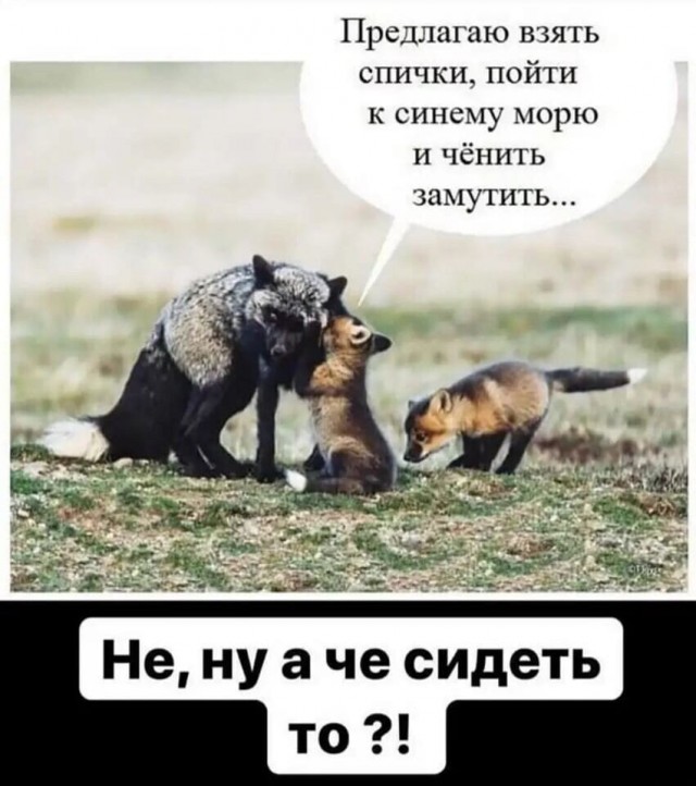 Живность 15.03.20