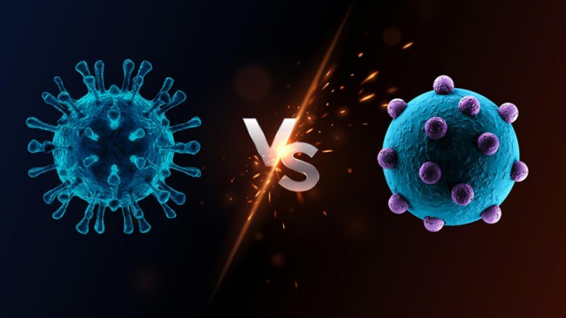 Школьный курс биологии, или что такое бактерия и вирус?