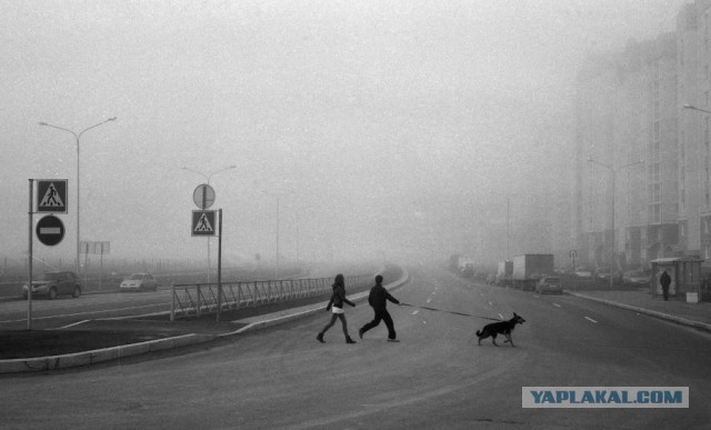 Плёночная фотография. Хобби