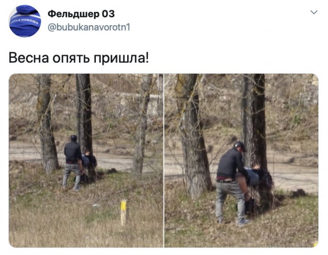 Так себе картинки 12.05.20