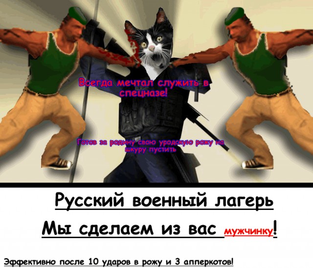 Фотожаба: Кот