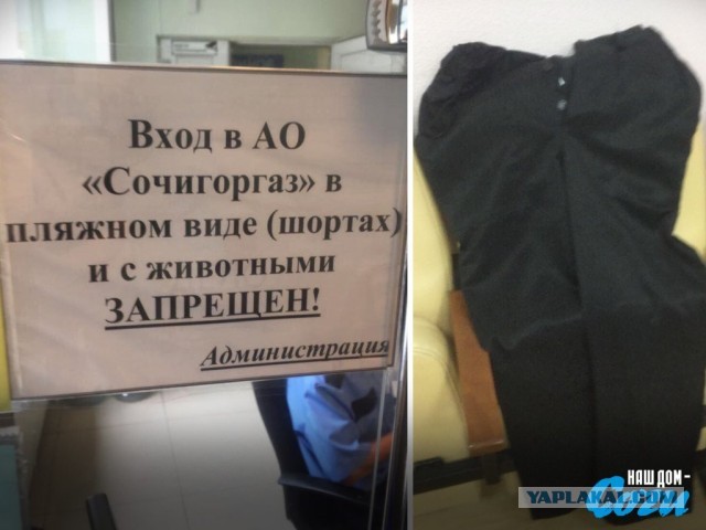 Жители Сочи требуют штрафовать туристок в купальнике