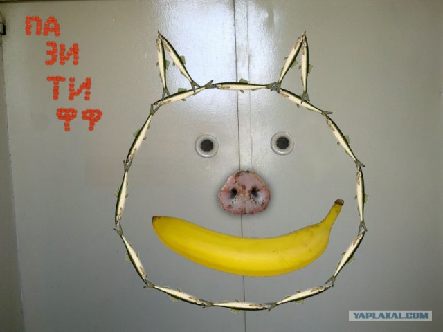 Фотожаба: Веселый больничный лифт