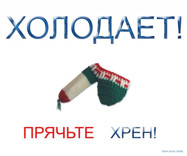 Холодает! Ешьте хрен!