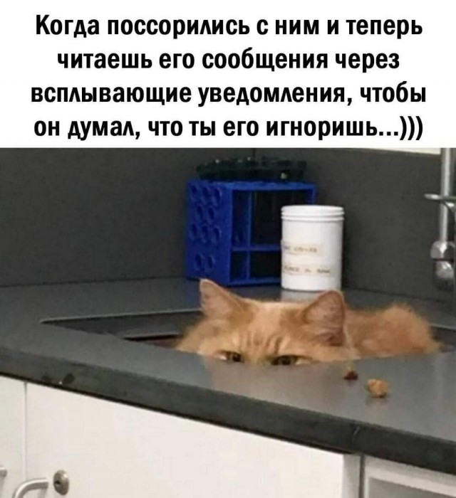 Бредзона 16.12.2020