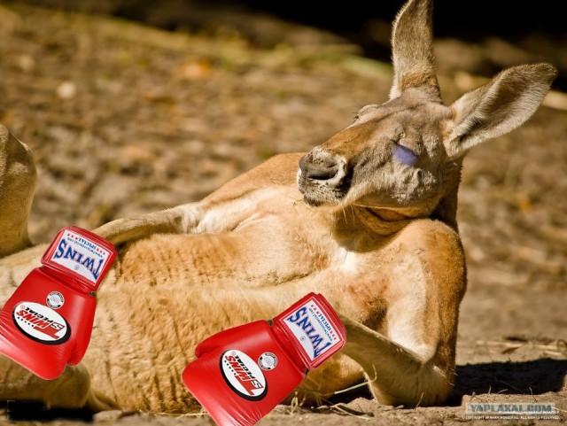 Фотожаба: И чего бы сейчас захотеть?
