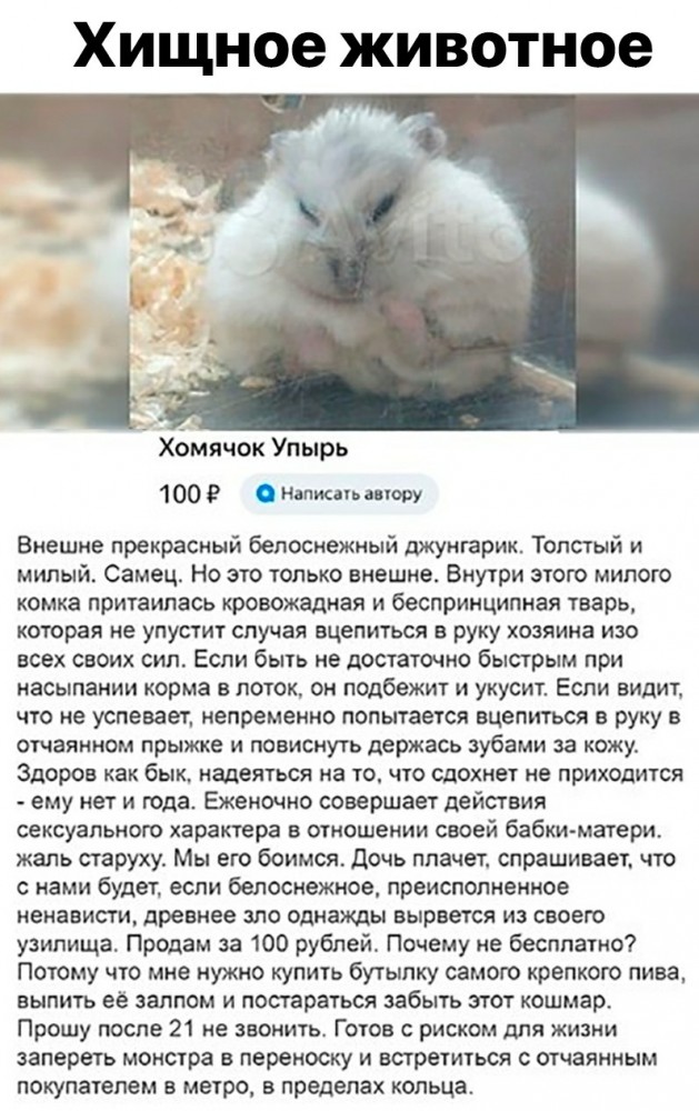 Хренотень из картинок