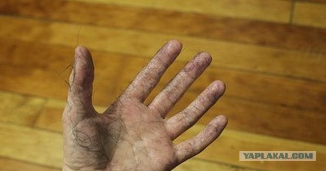 Какими должны быть мужские руки?